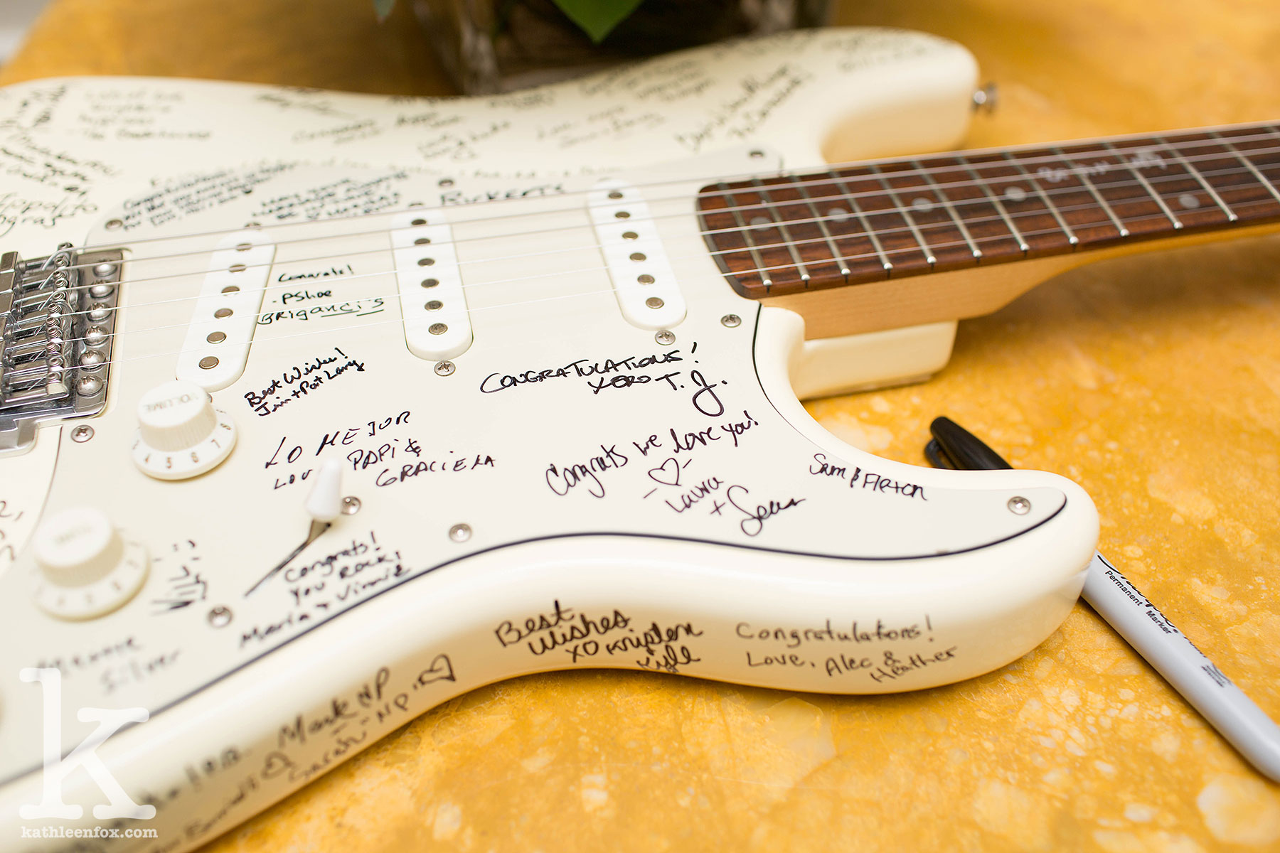 Old Tappan Manor NJ Wedding Photos