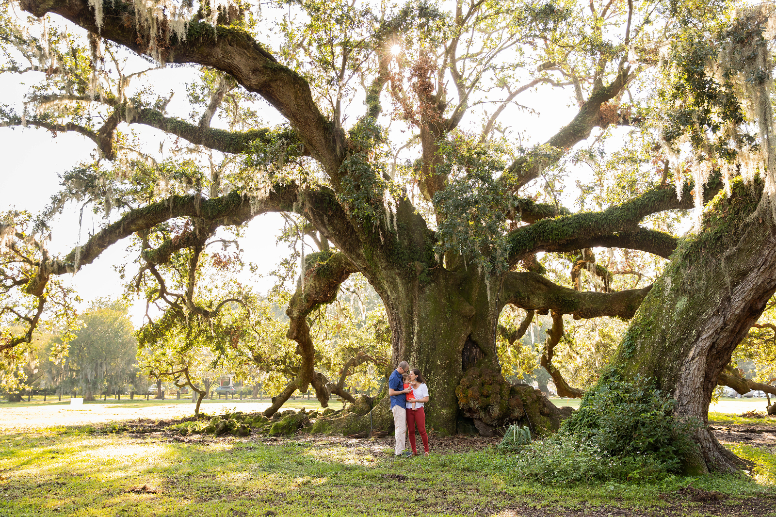 Tree of Life New Orleans Family Photographer