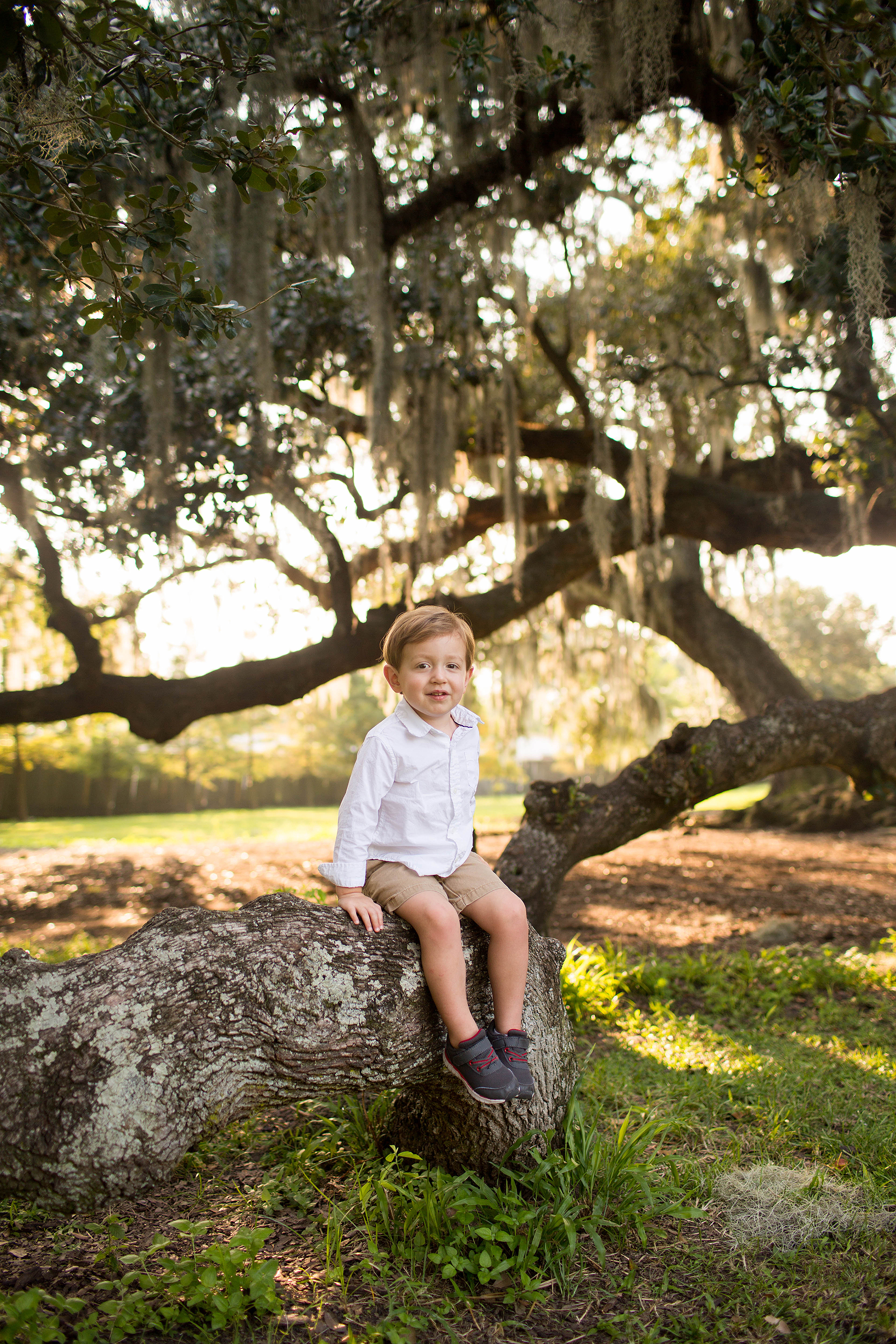 Family portraits at the Tree of Life in Audubon Park, New Orleans, Louisiana