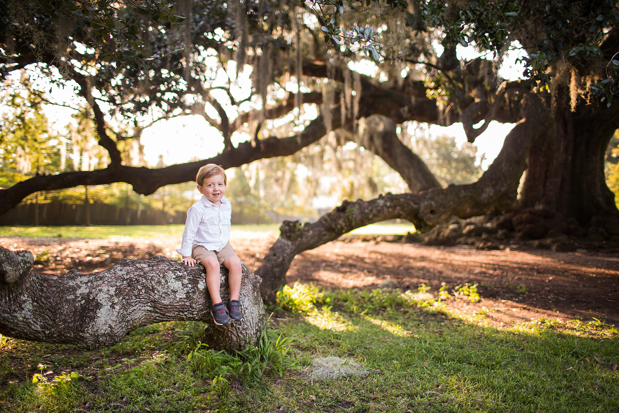Family portraits at the Tree of Life in Audubon Park, New Orleans, Louisiana