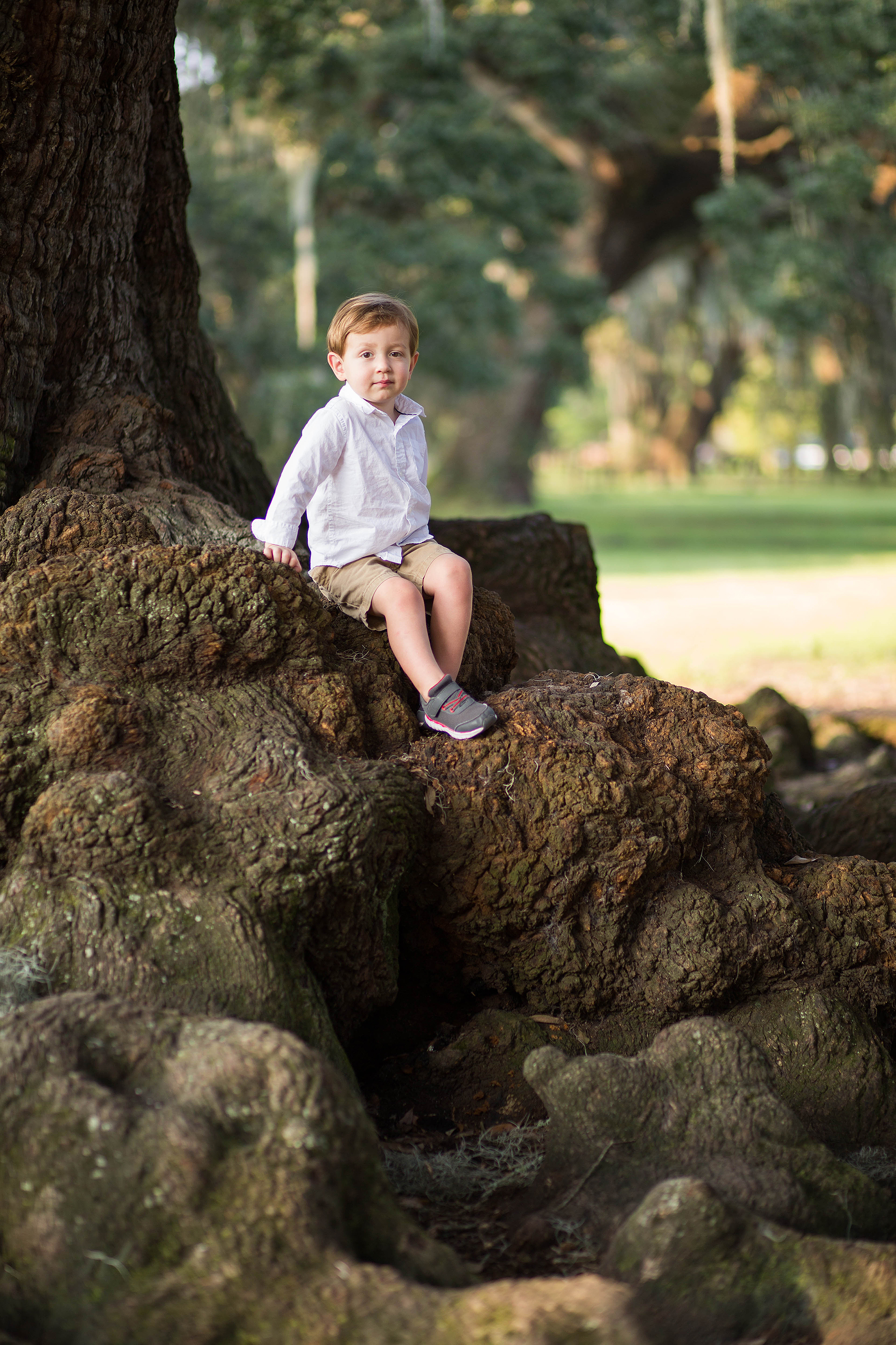 Family portraits at the Tree of Life in Audubon Park, New Orleans, Louisiana
