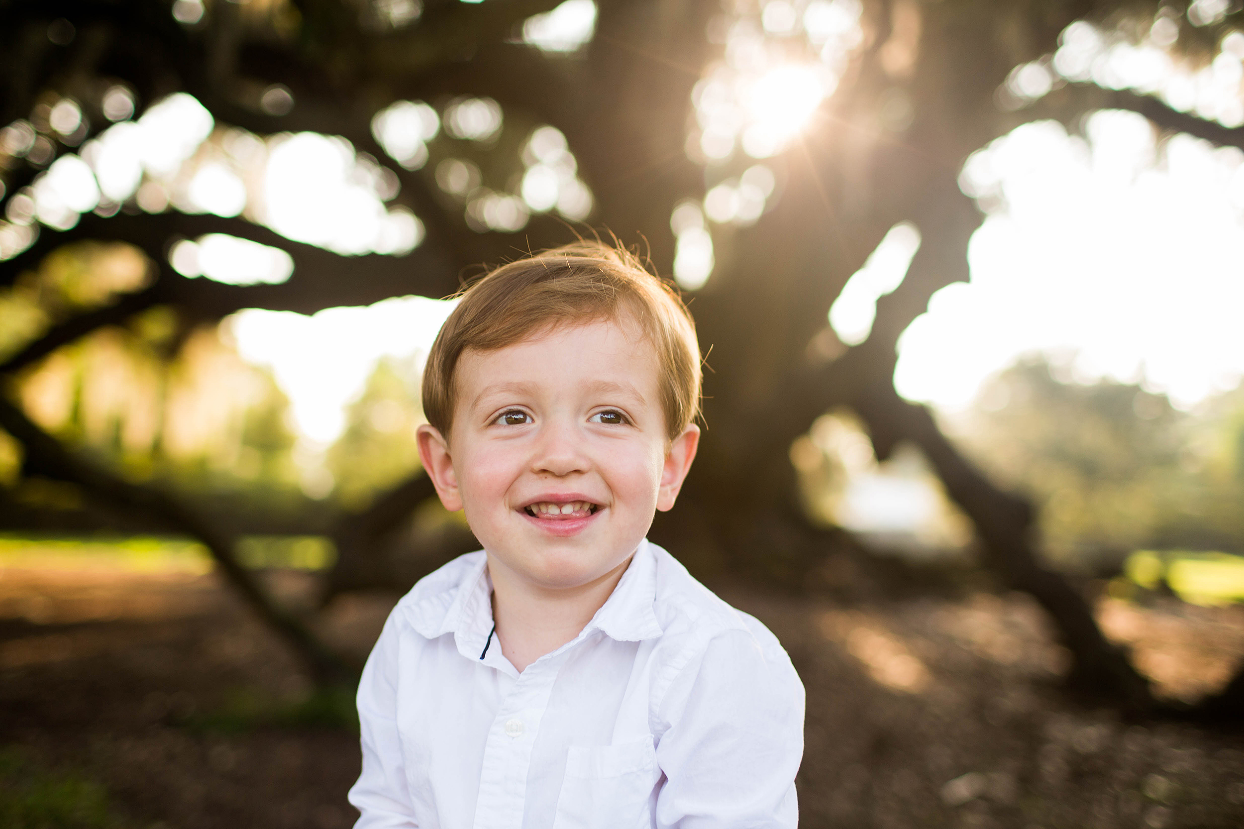 Family portraits at the Tree of Life in Audubon Park, New Orleans, Louisiana