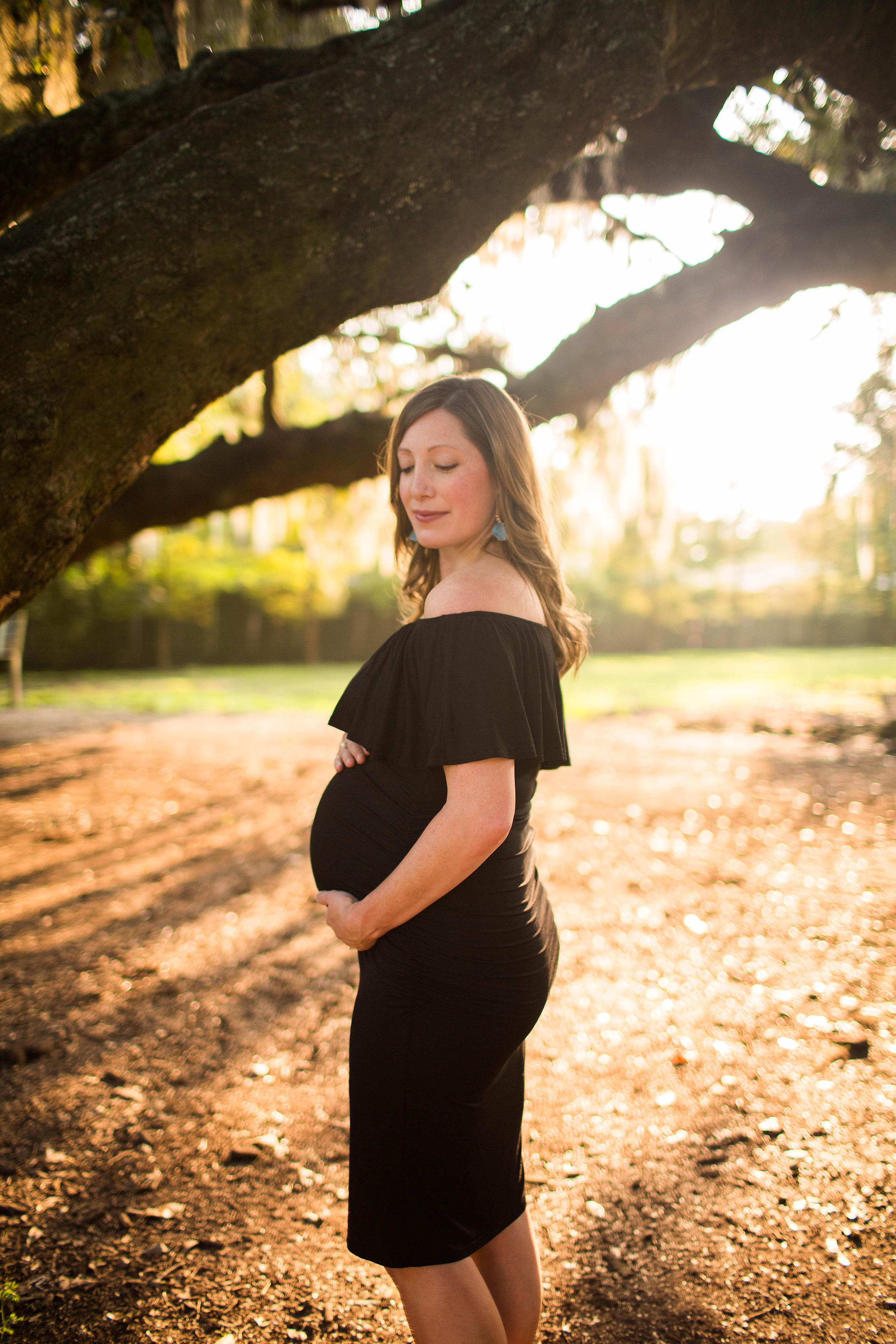 Maternity portraits at the Tree of Life in Audubon Park, New Orleans, Louisiana