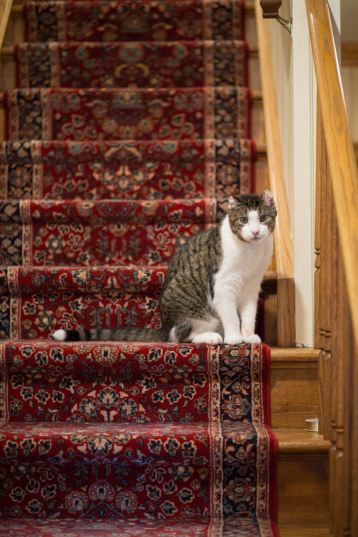 Chris and Sally's wedding at Thielke Arboretum in Glen Rock, NJ