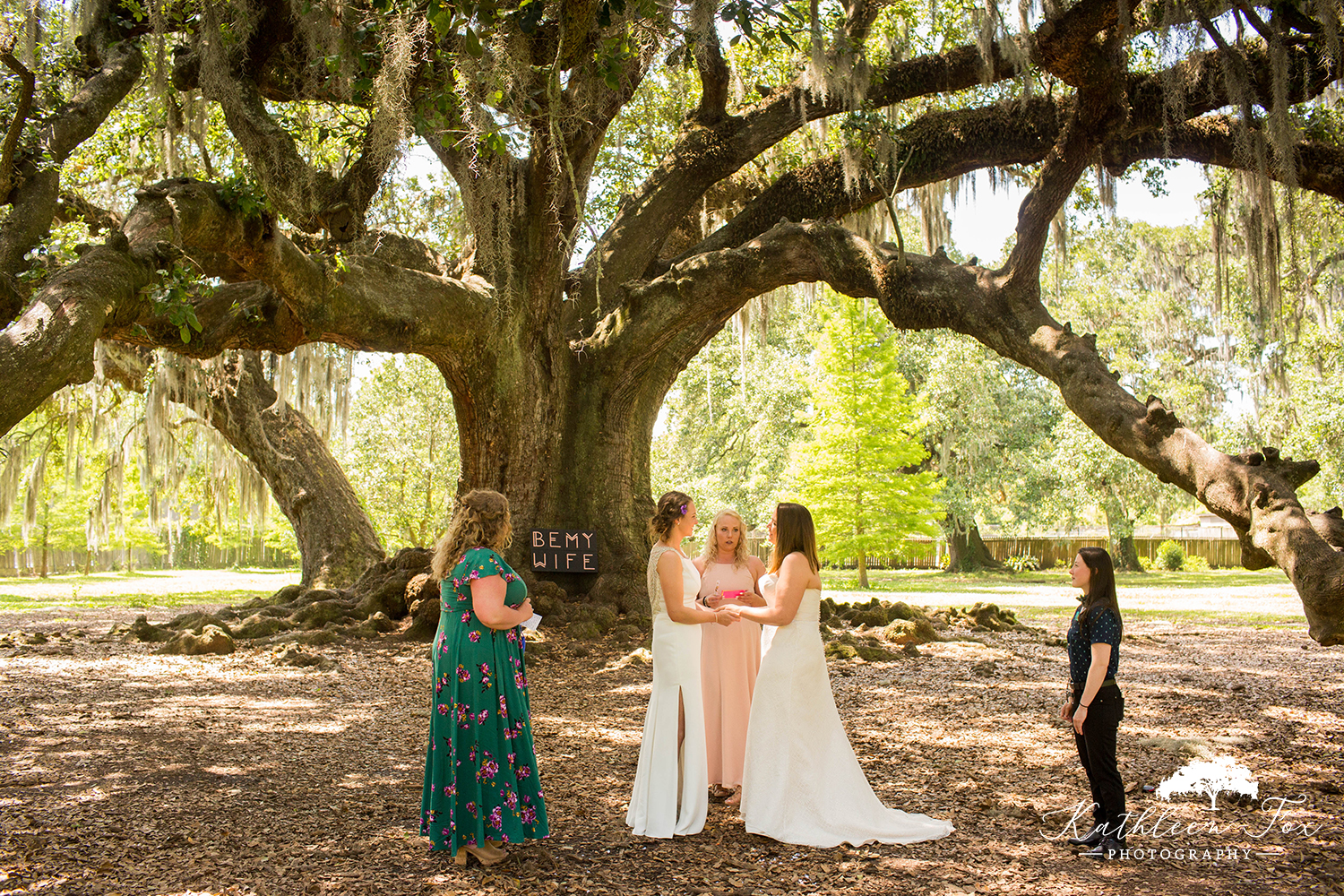 Tree of Life New Orleans Wedding photos