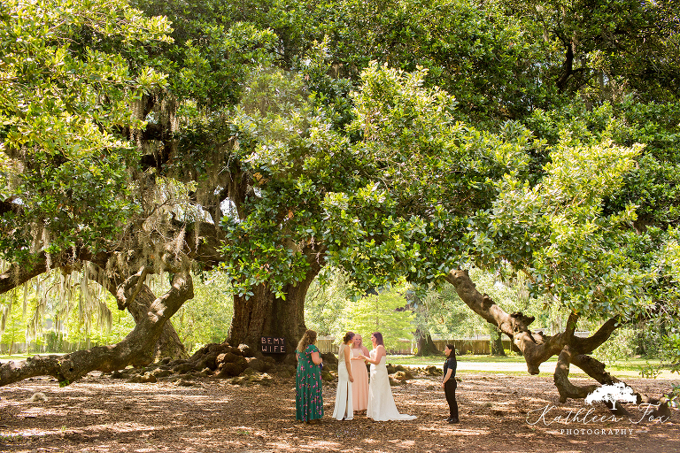 Tree of Life New Orleans Wedding photos