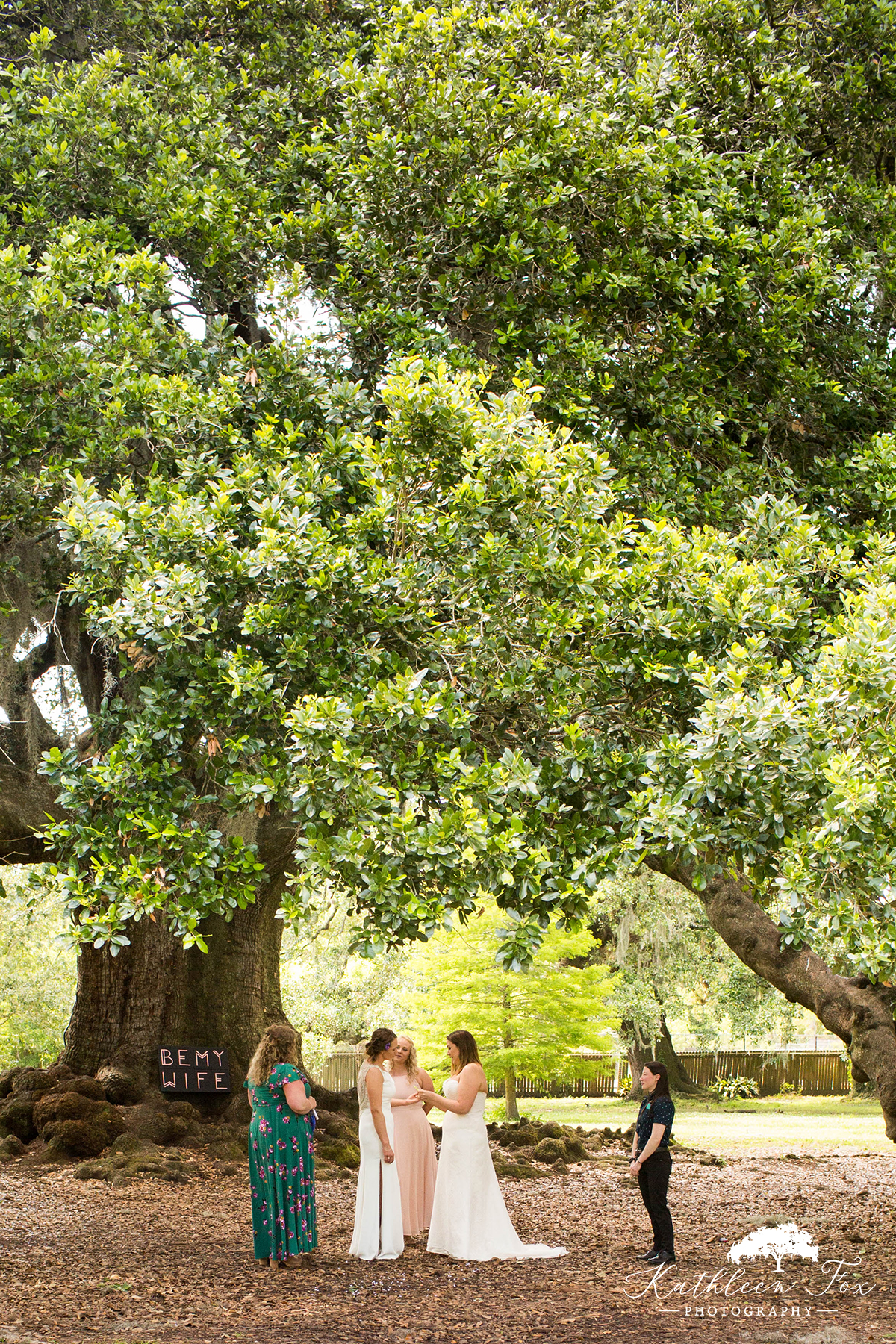 Tree of Life New Orleans Wedding photos