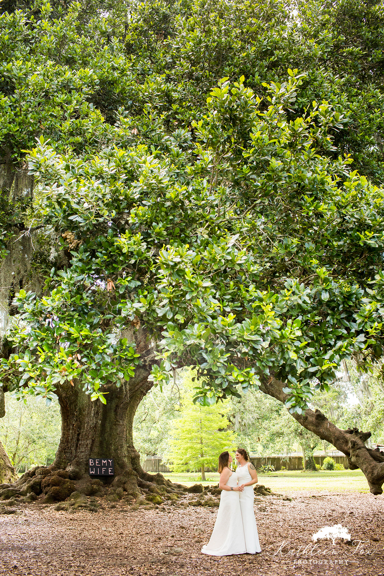 Tree of Life New Orleans Wedding photos
