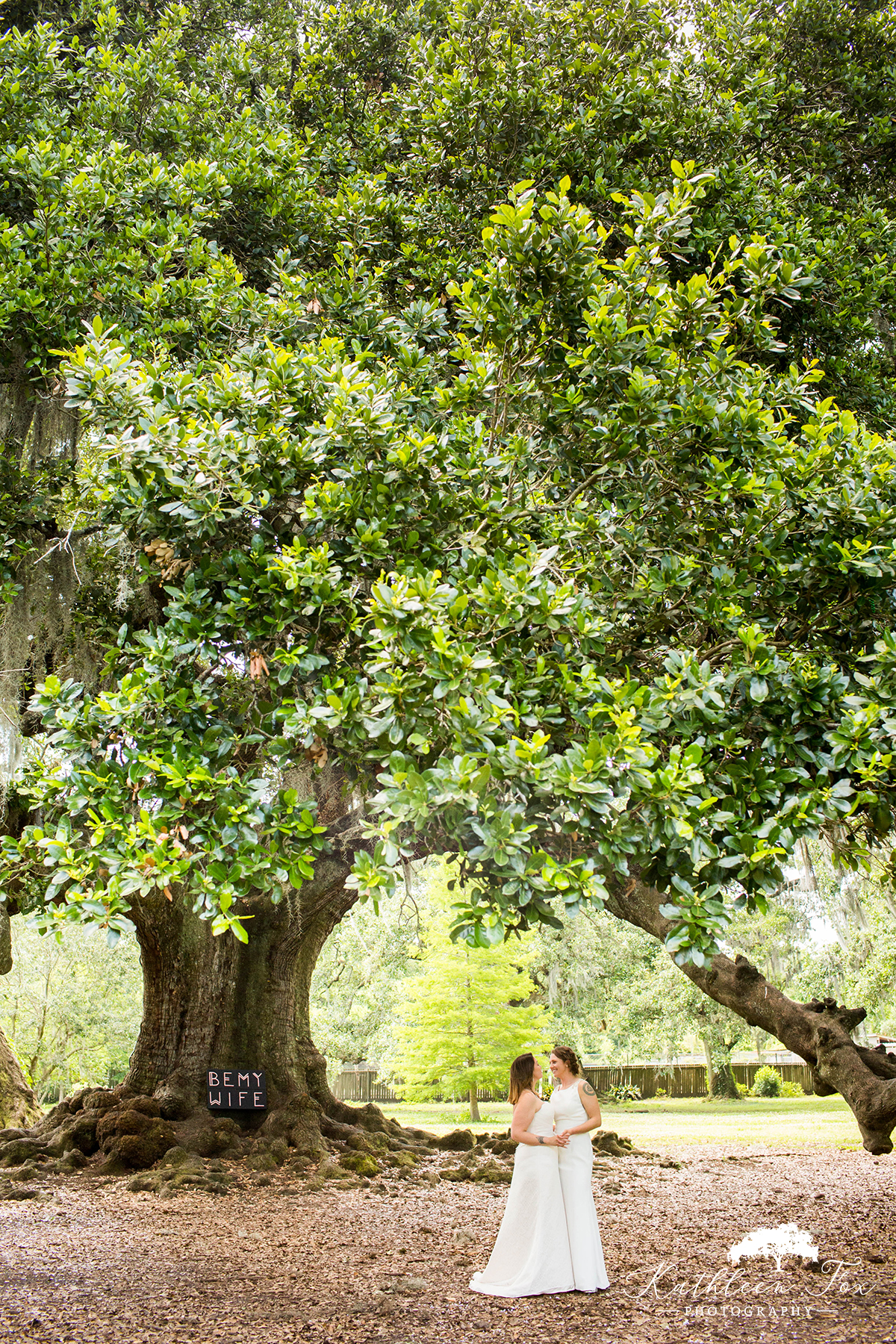 Tree of Life New Orleans Wedding photos
