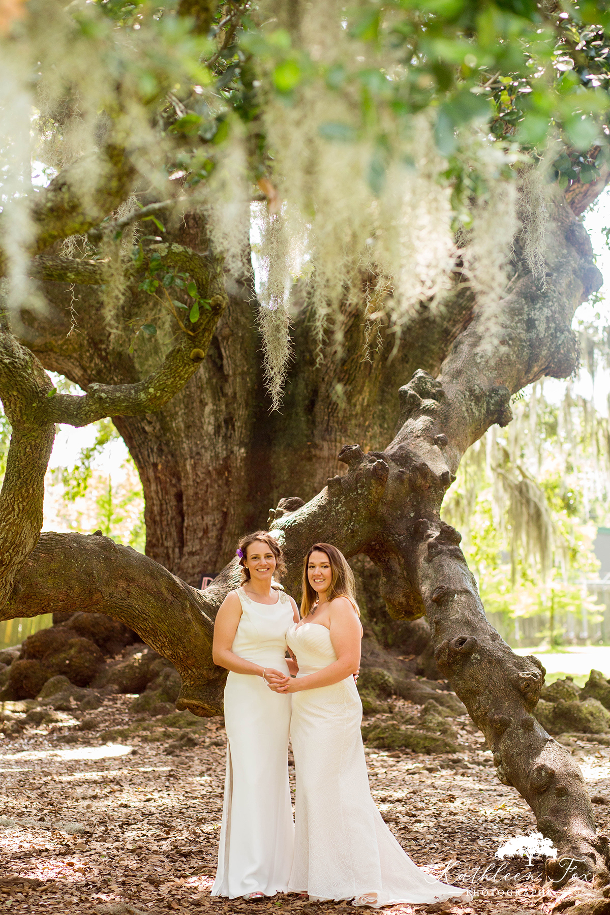 Tree of Life New Orleans Wedding photos