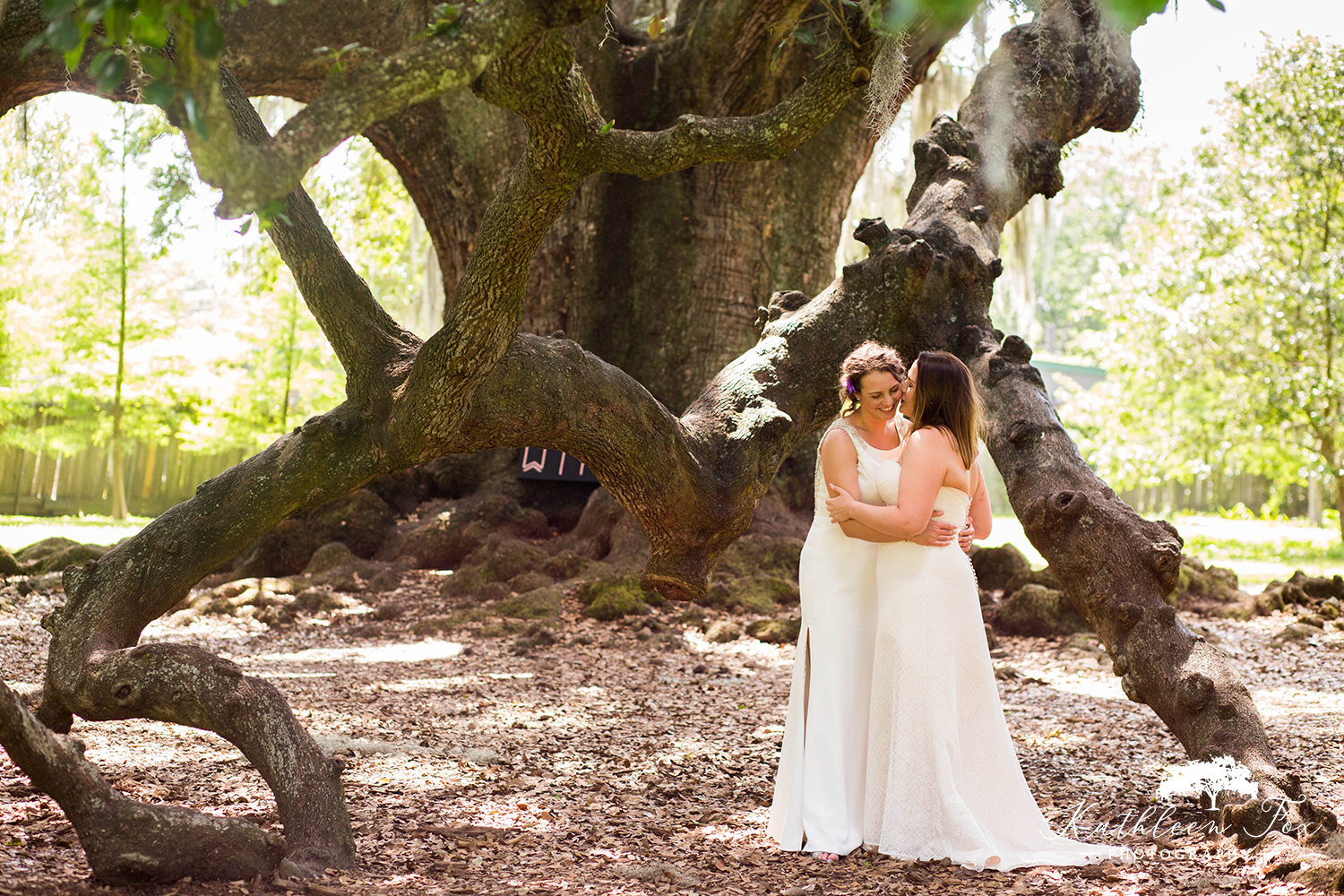 Tree of Life New Orleans Wedding photos