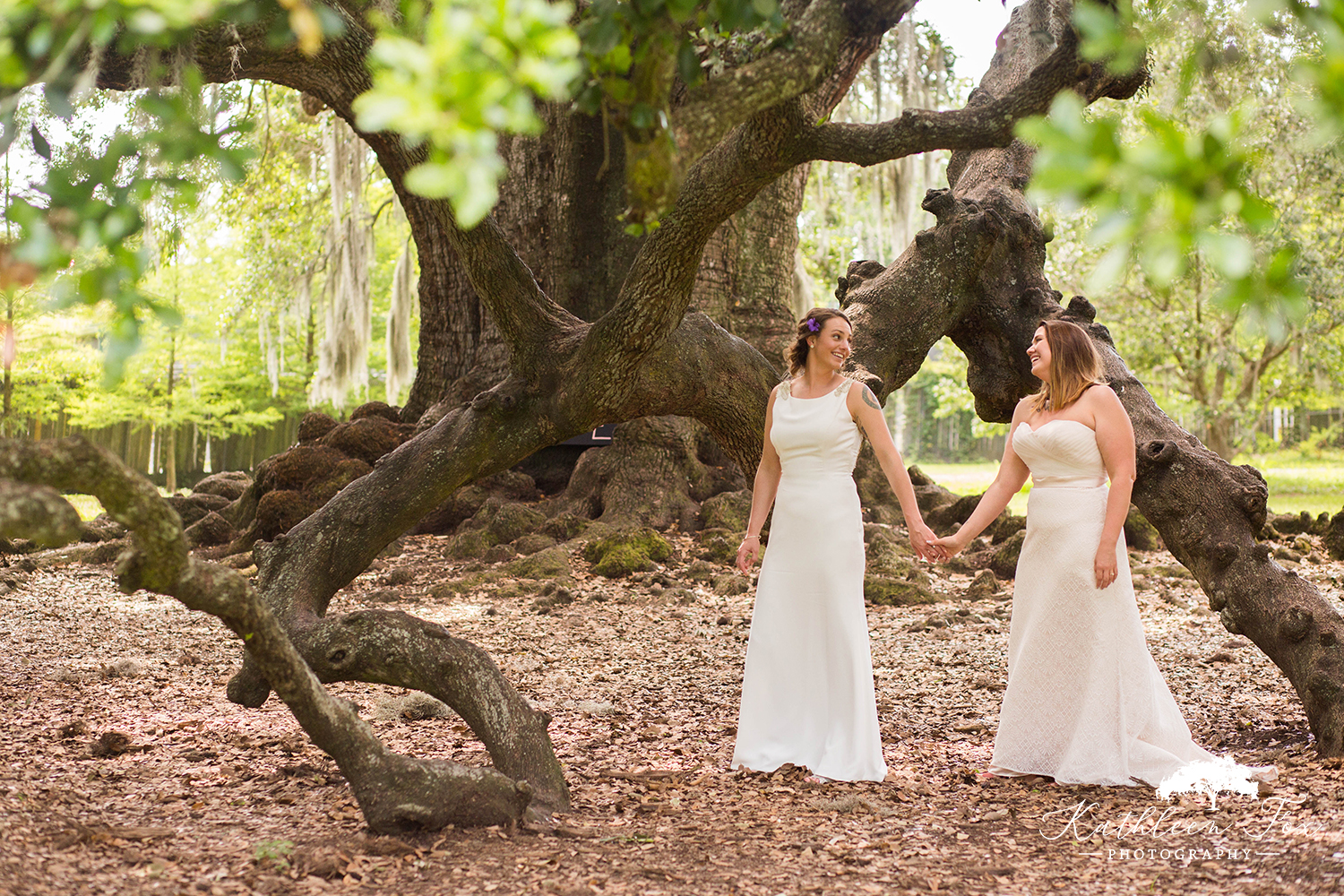 Tree of Life New Orleans Wedding photos