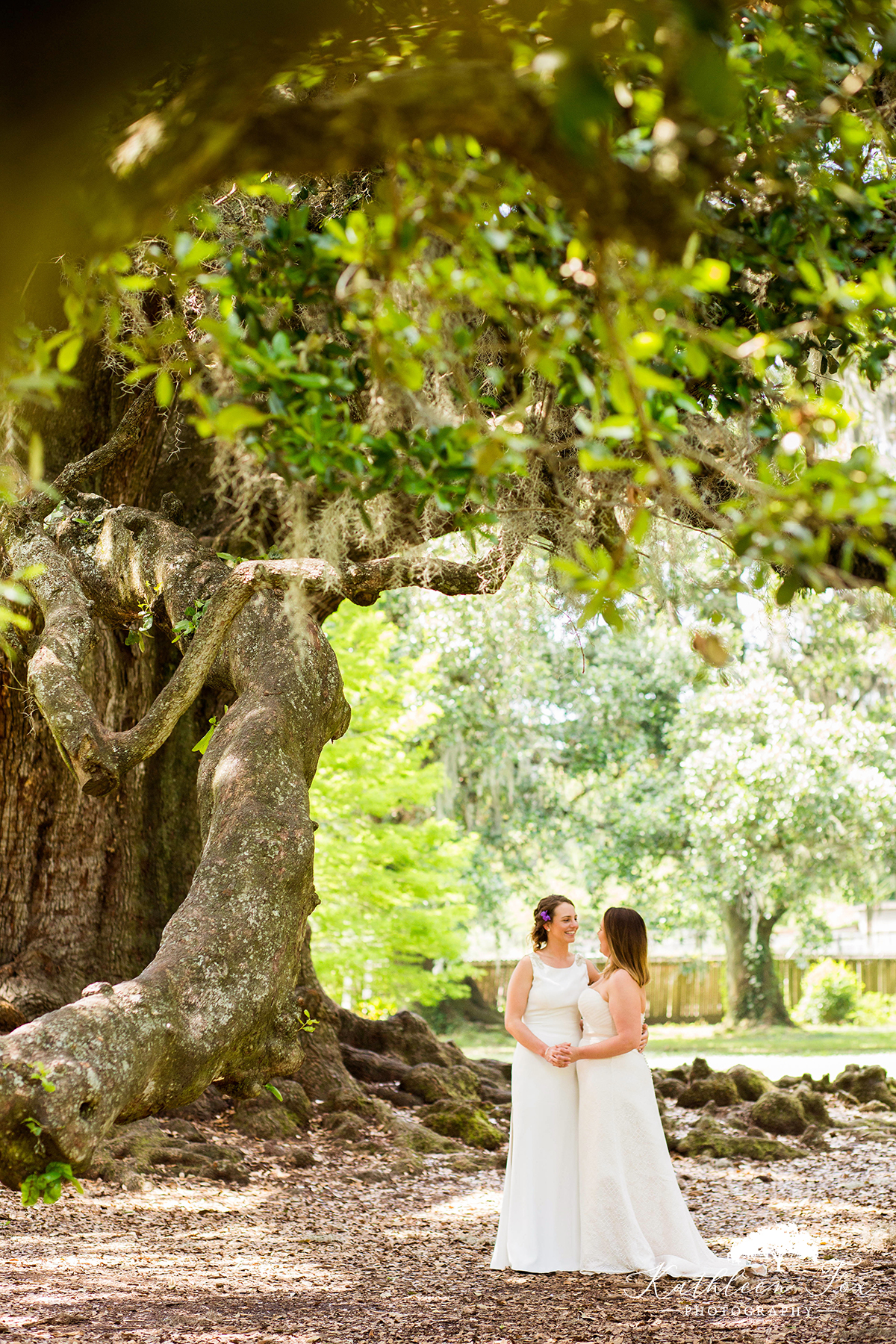 Tree of Life New Orleans Wedding photos