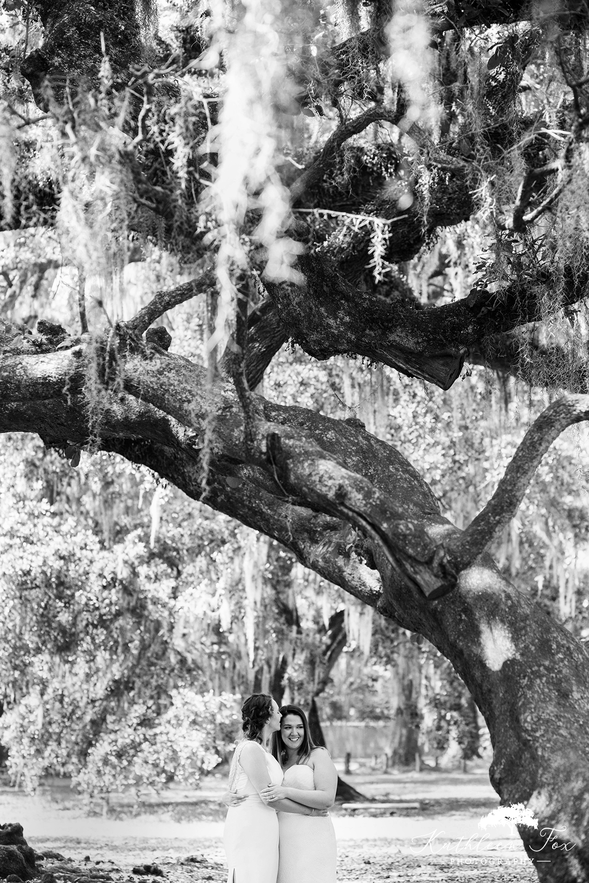 Tree of Life New Orleans Wedding photos