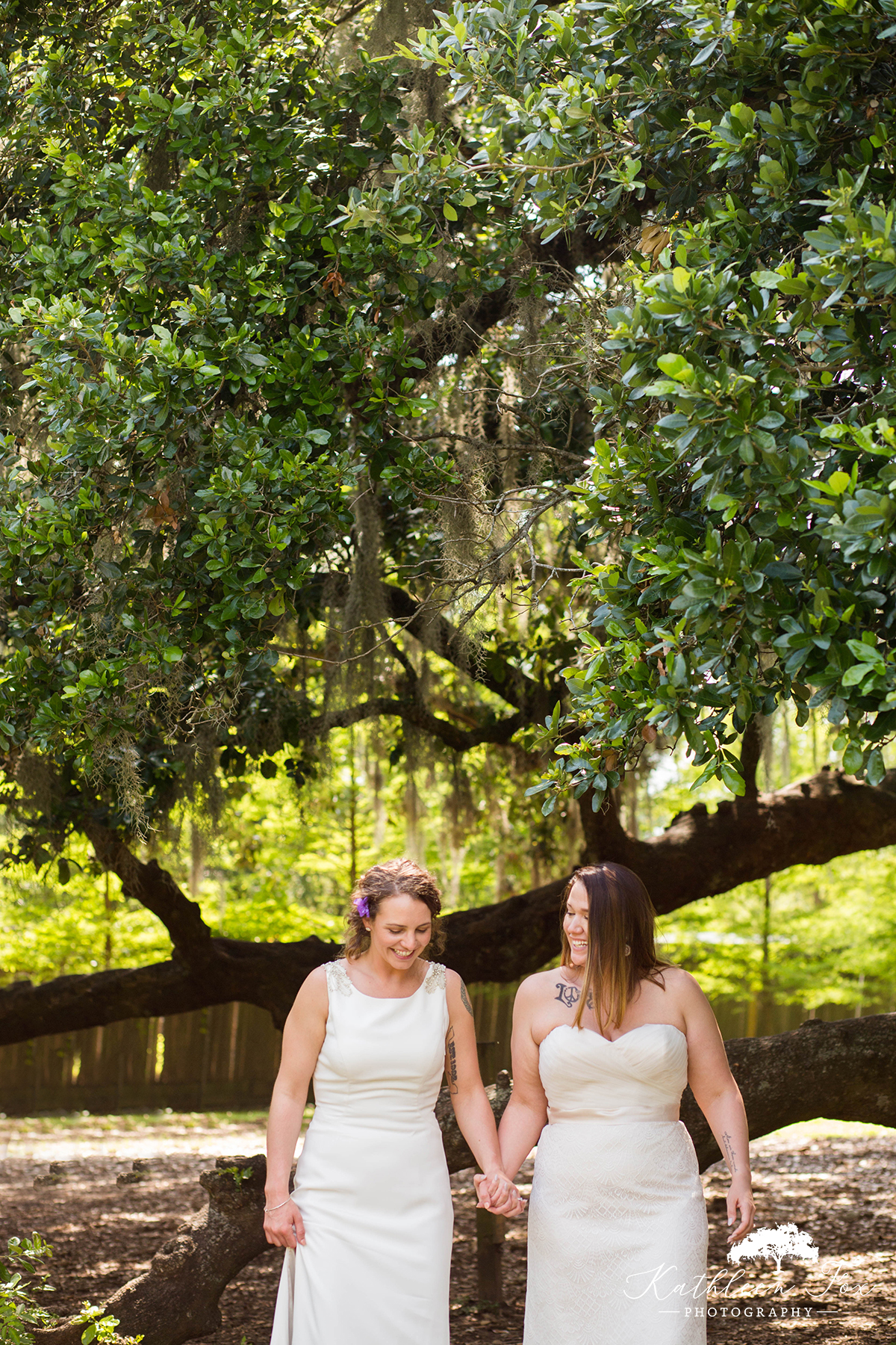 Tree of Life New Orleans Wedding photos