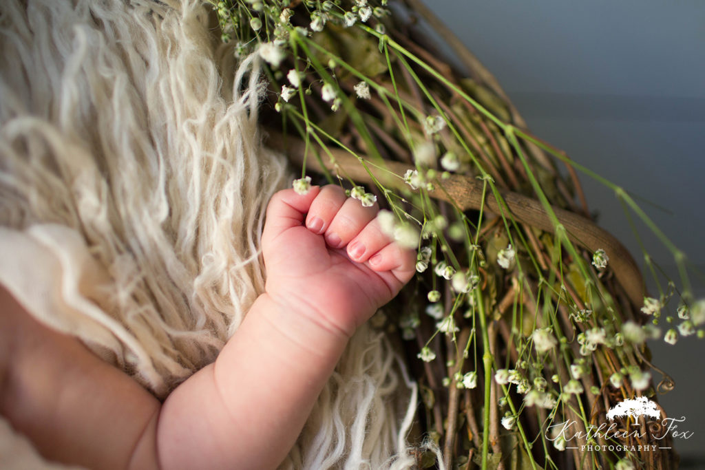 New Orleans Newborn photography studio session