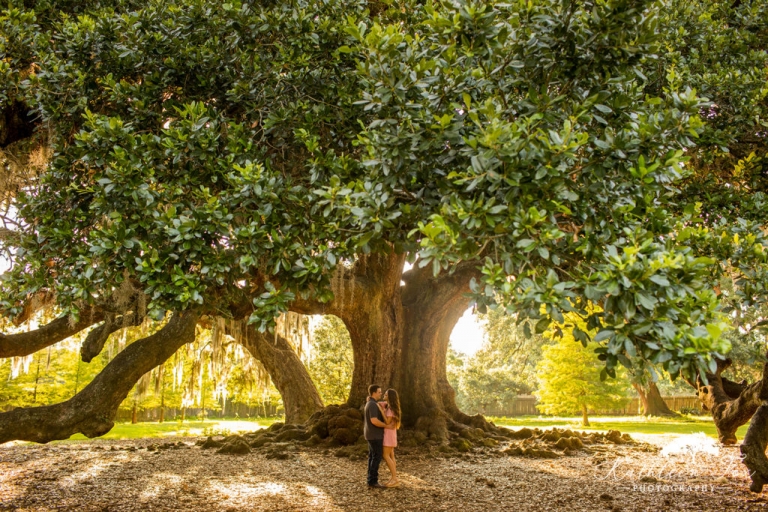 New Orleans Tree of Life Engagement photos