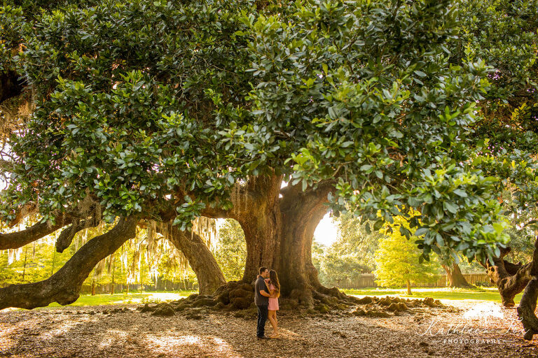 New Orleans Tree of Life Engagement photos