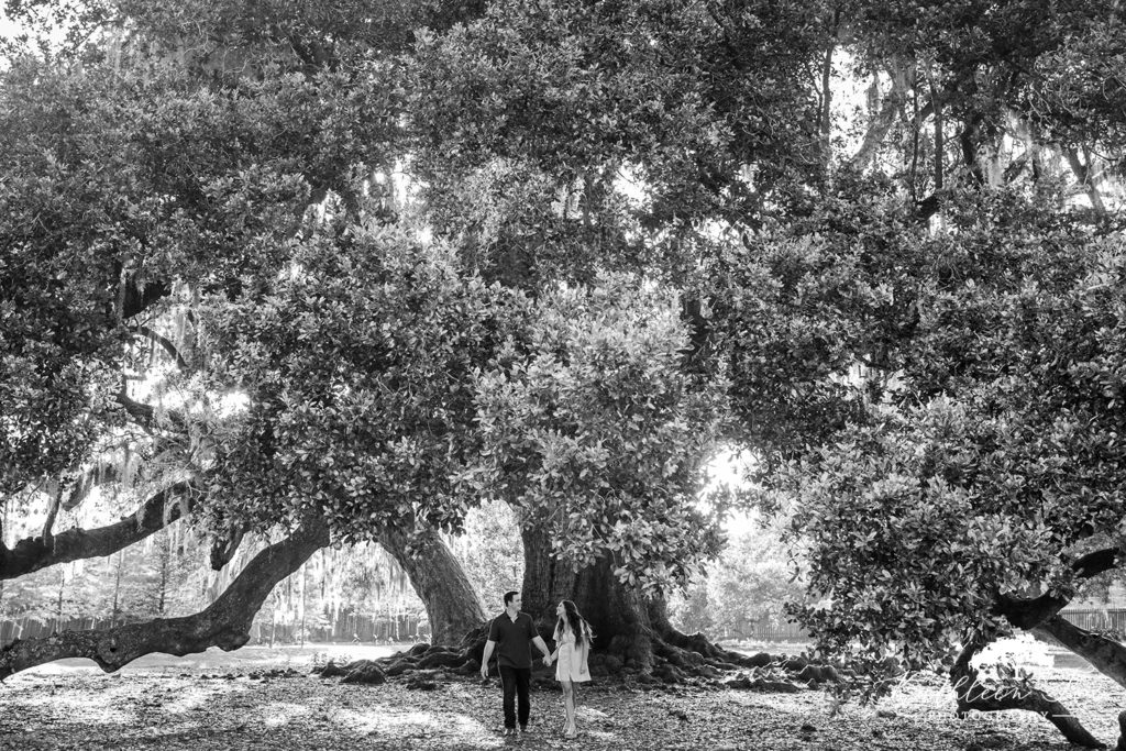 New Orleans Tree of Life Engagement photos