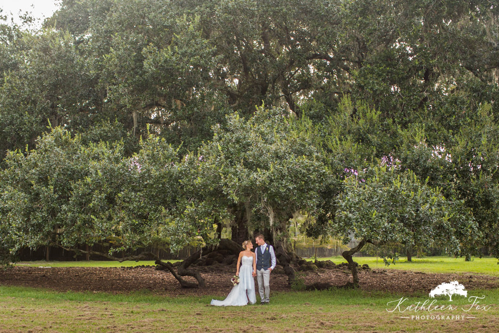 Tree of Life wedding photographer