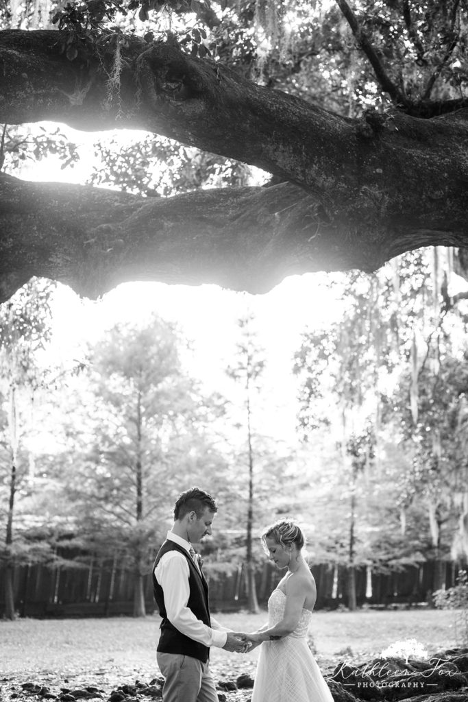 Tree of Life wedding photographer
