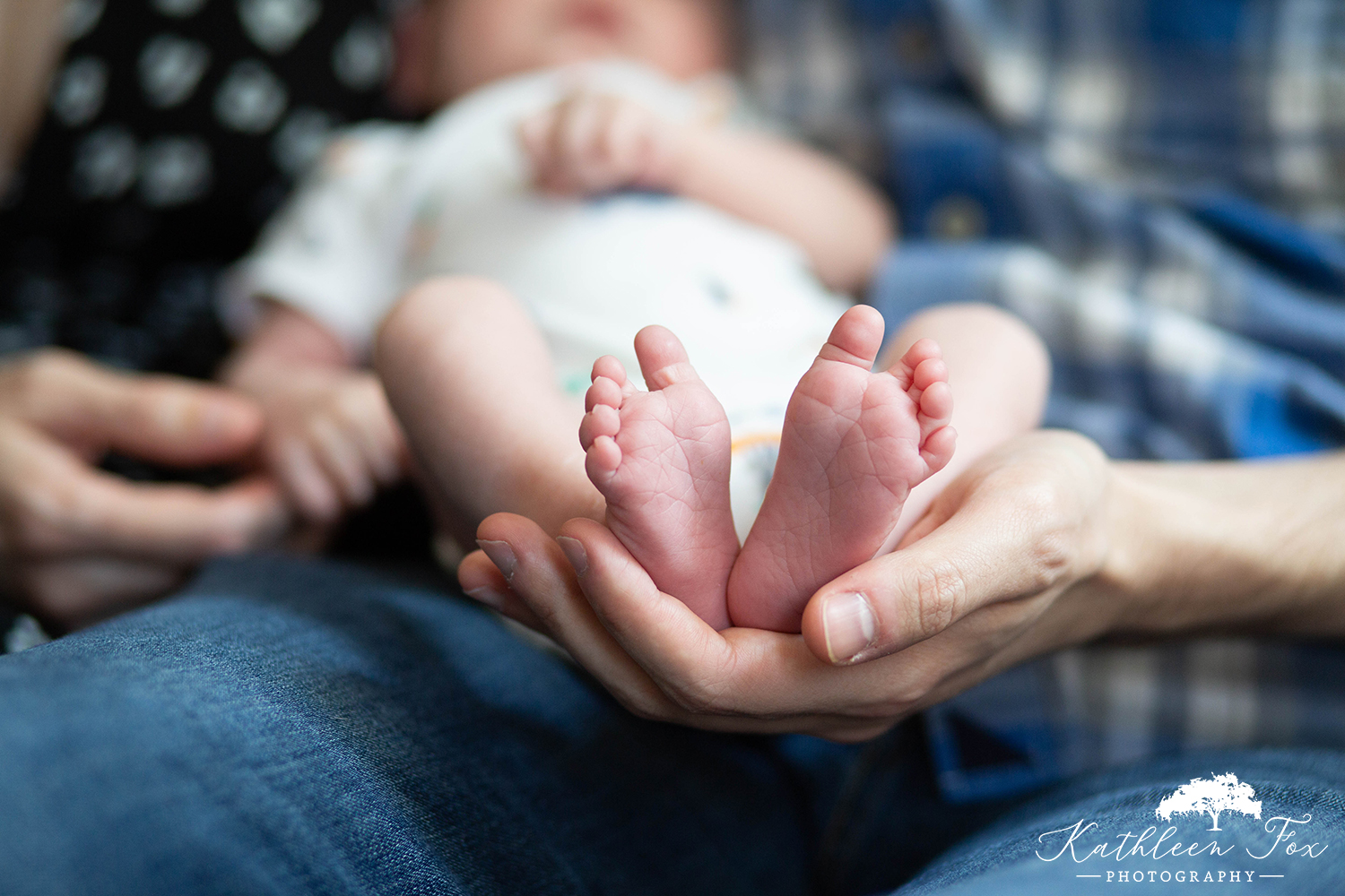 Newborn family photographer in Brooklyn NY