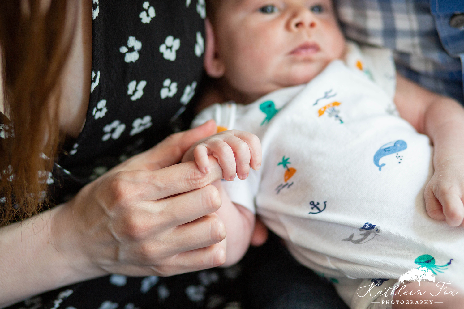 Newborn family photographer in Brooklyn NY