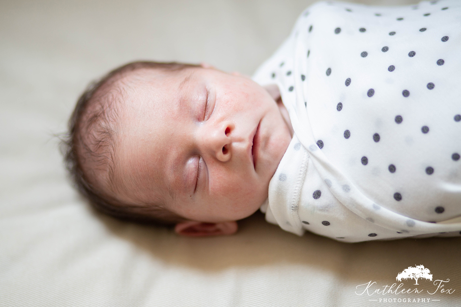 Newborn family photographer in Brooklyn NY