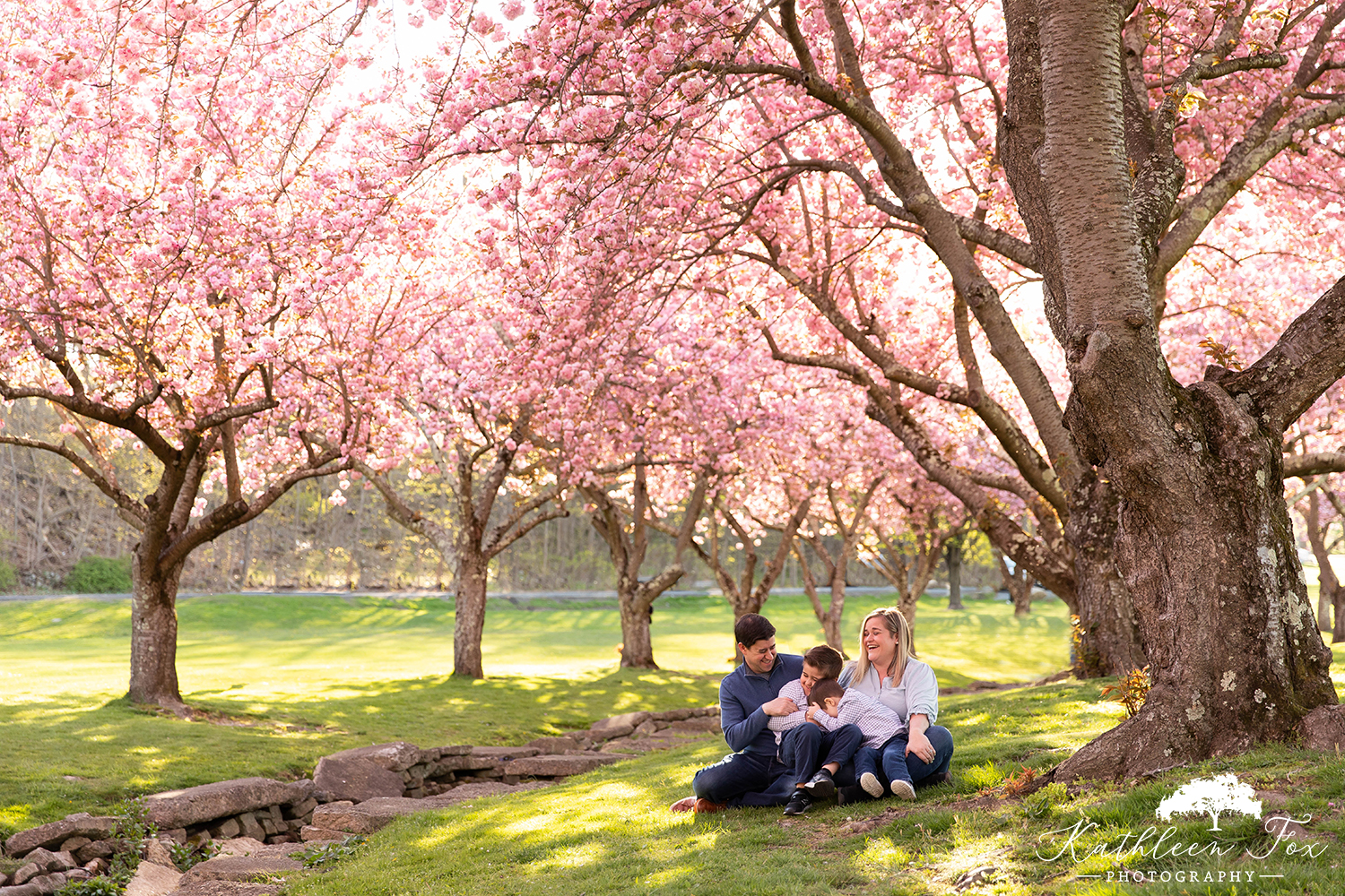 Family photos during cherry blossom season in Hurd Park, Dover NJ
