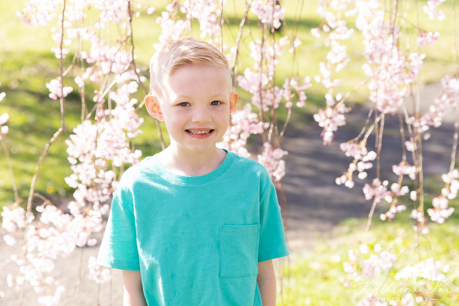 Cherry Blossoms family photos in Branch Brook Park NJ