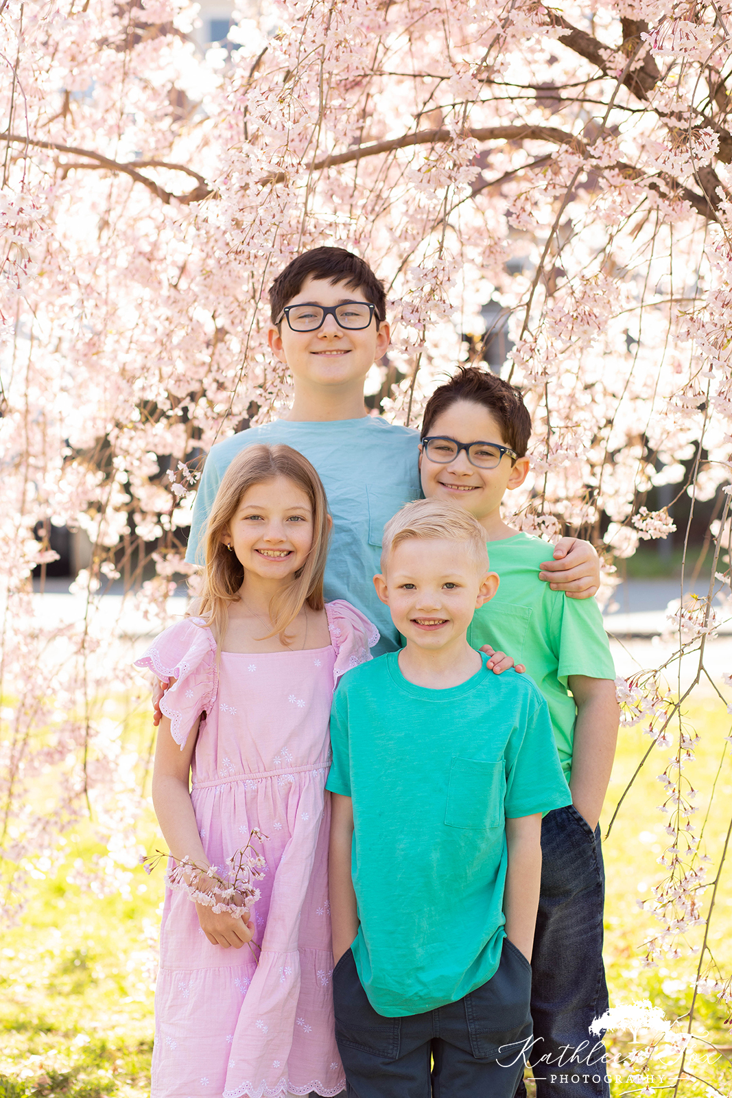 Cherry Blossoms family photos in Branch Brook Park NJ