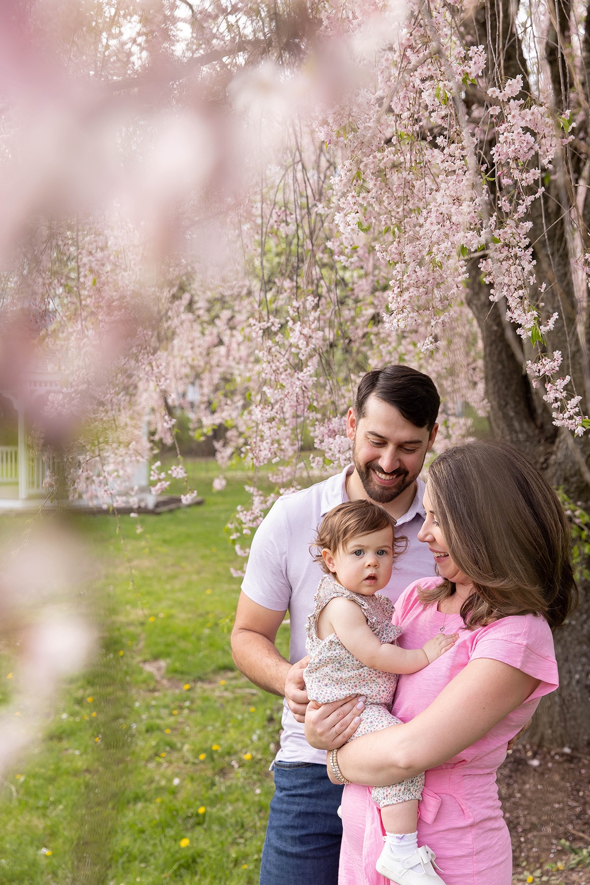 Cherry Blossoms family photos in Morris County NJ
