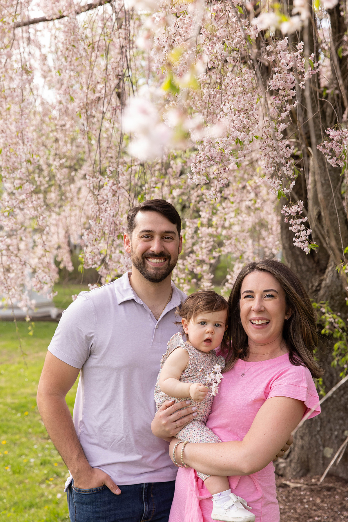 Cherry Blossoms family photos in Morris County NJ