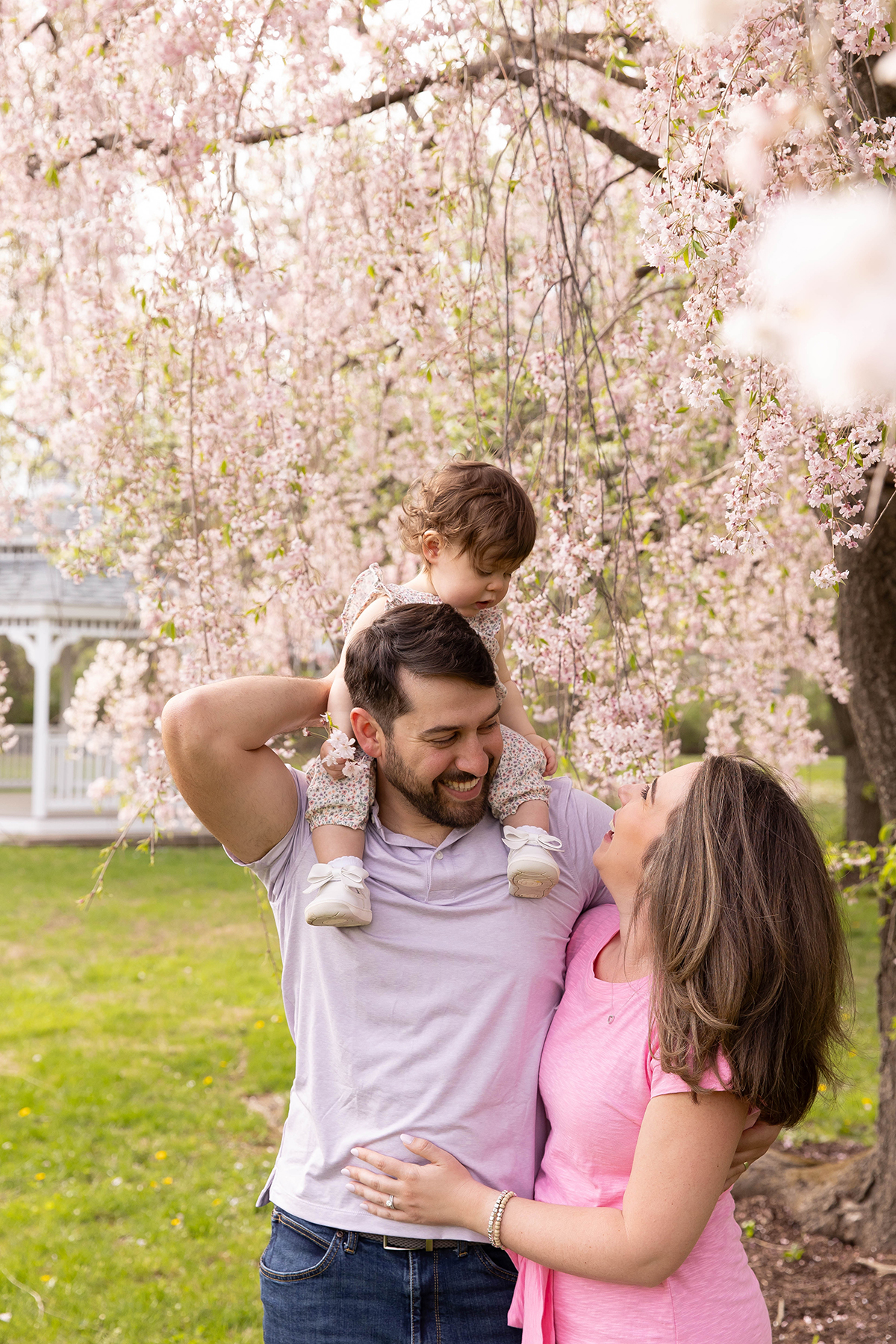 Cherry Blossoms family photos in Morris County NJ