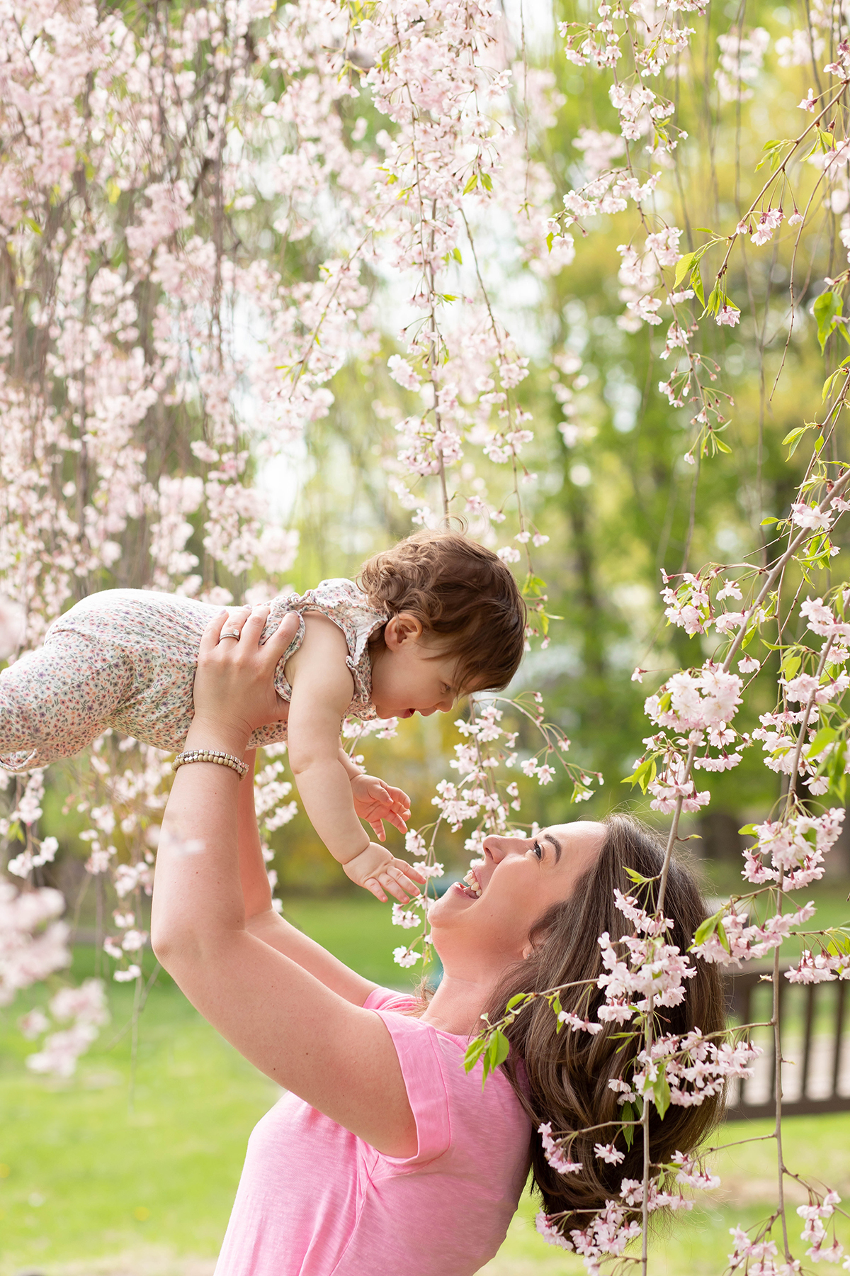 Cherry Blossoms family photos in Morris County NJ