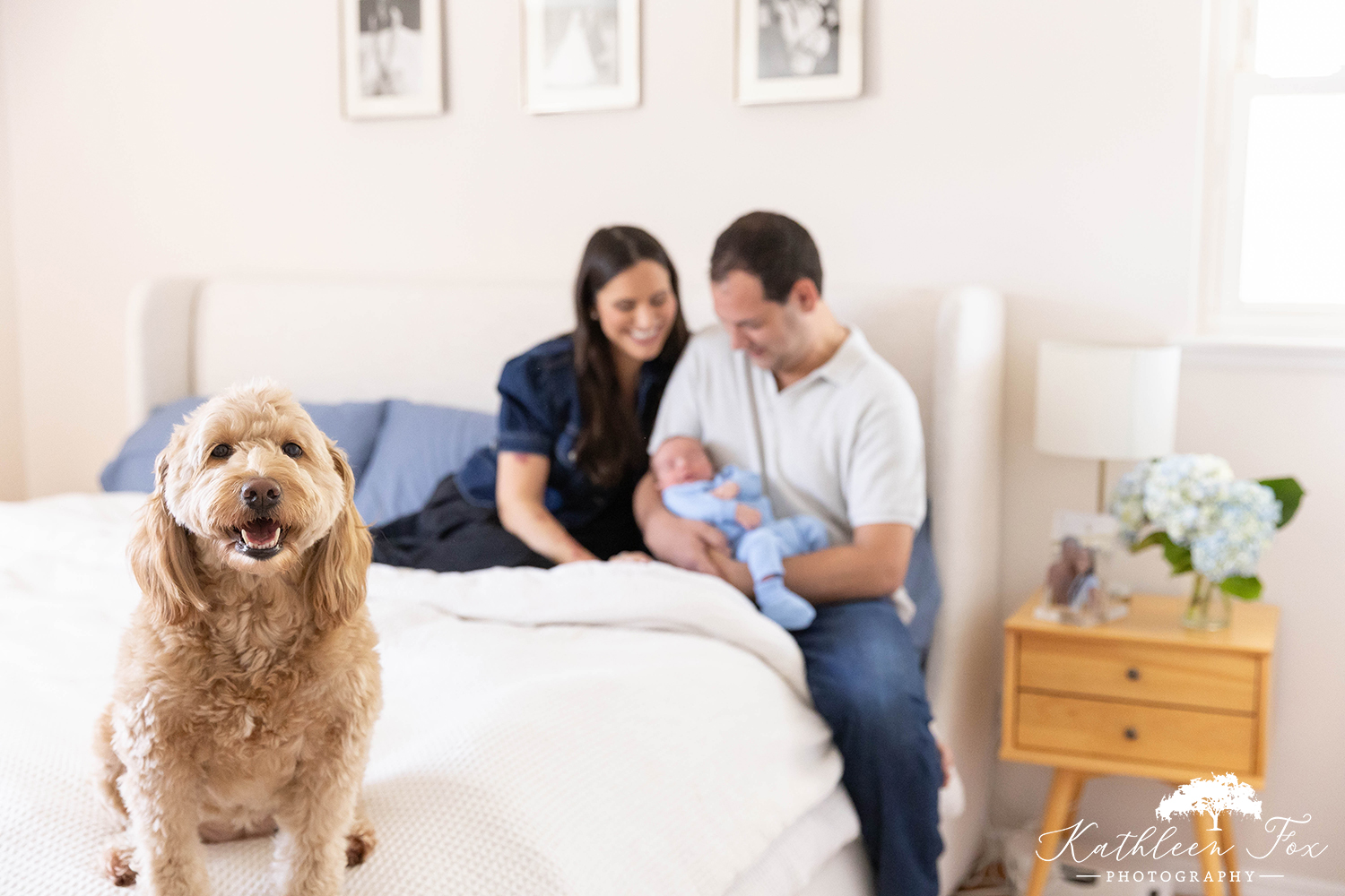 Portraits of newborn baby in morris county nj