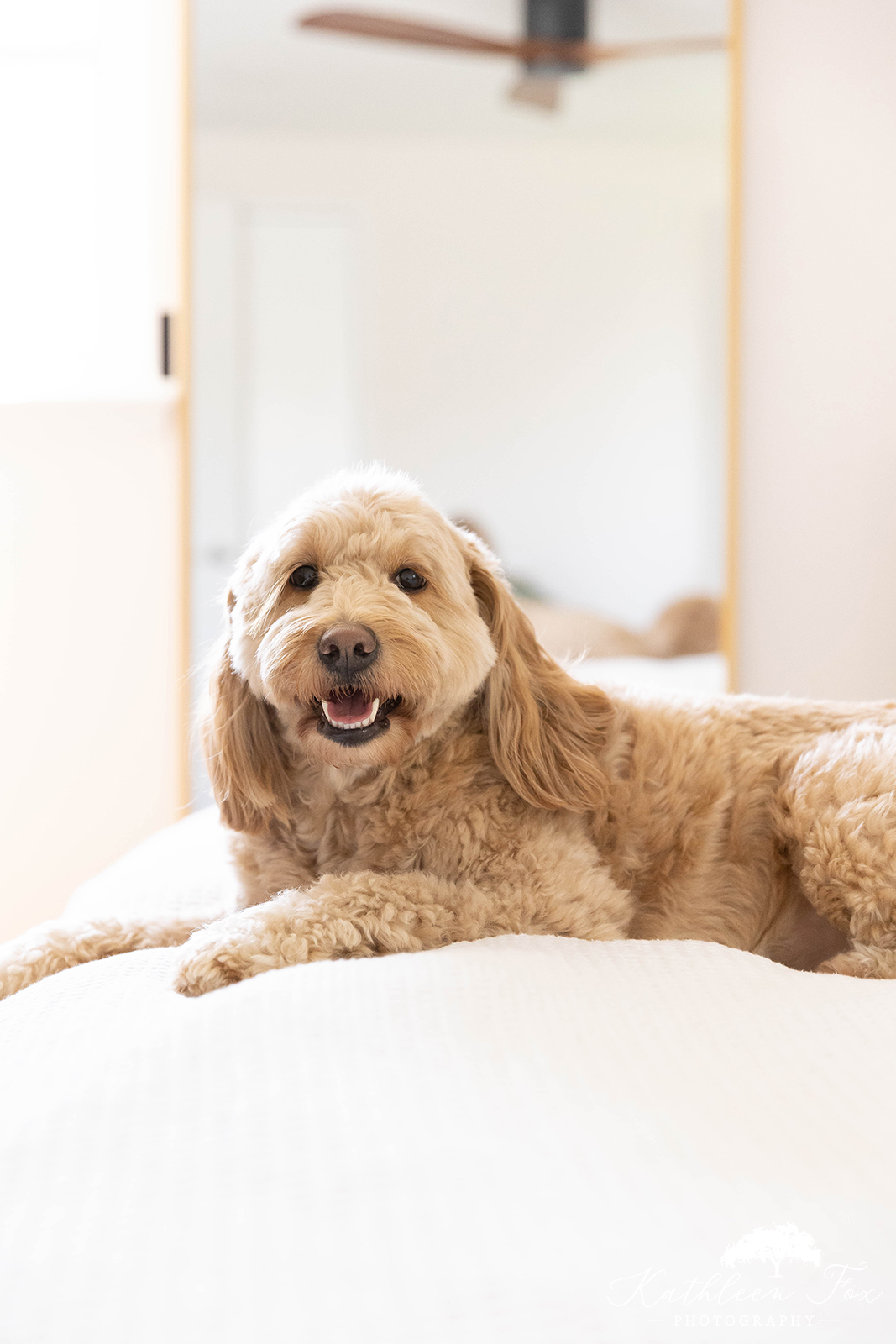 Portraits of newborn baby in morris county nj