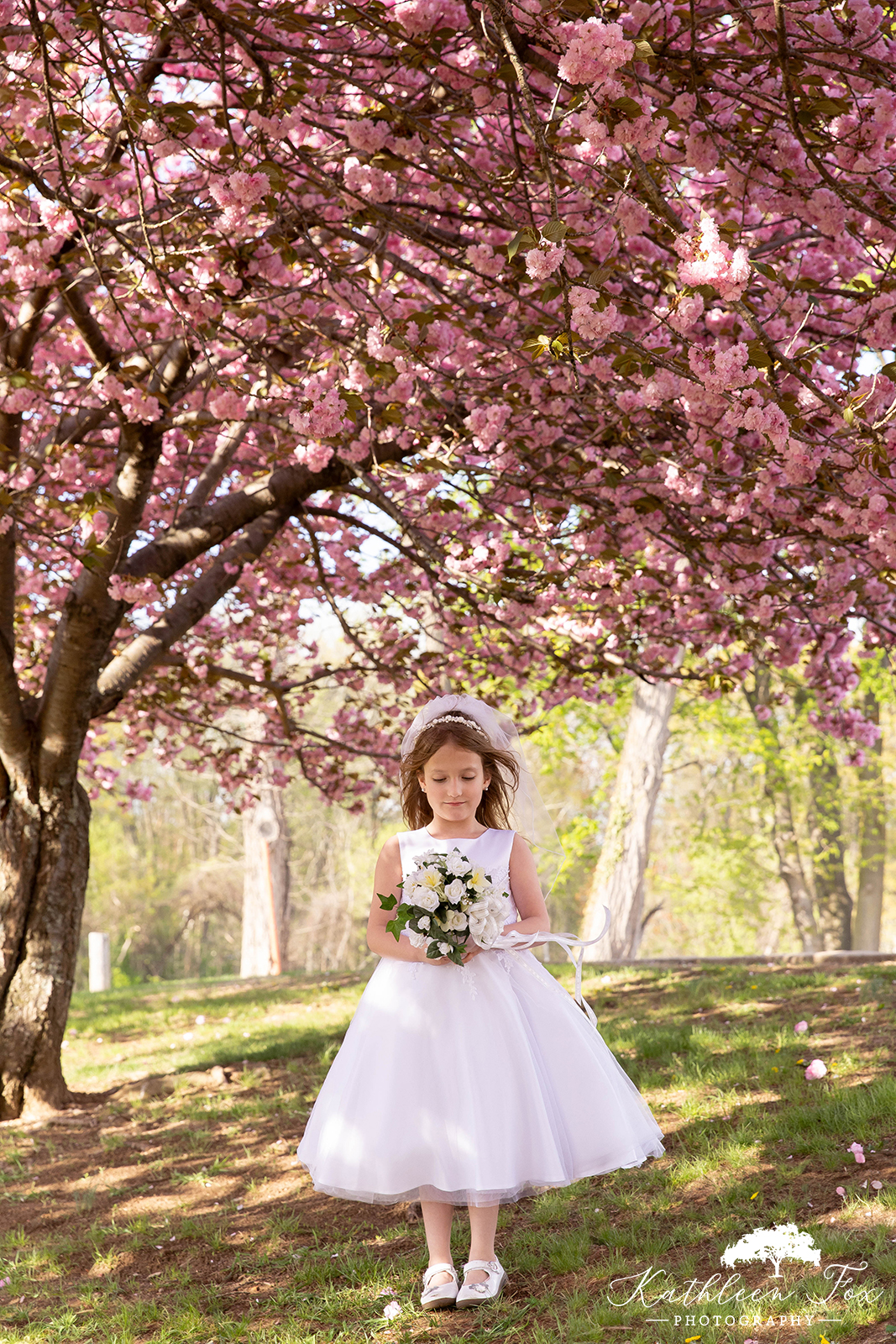 Cherry Blossoms family photos in Morris County NJ