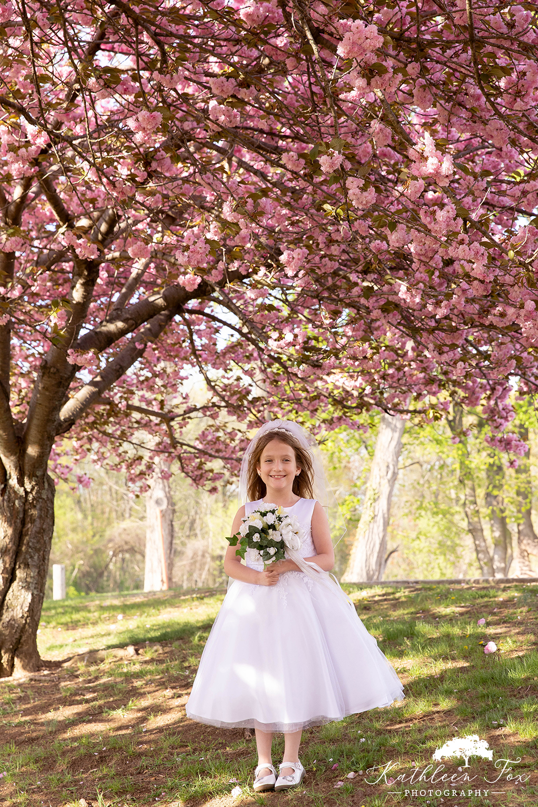 Cherry Blossoms family photos in Morris County NJ