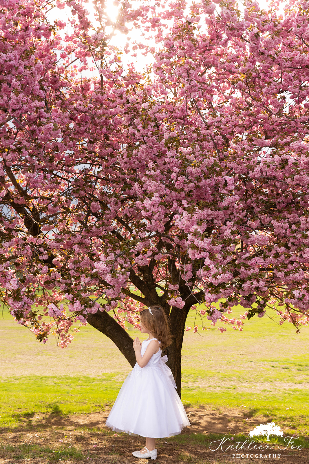 Cherry Blossoms family photos in Morris County NJ