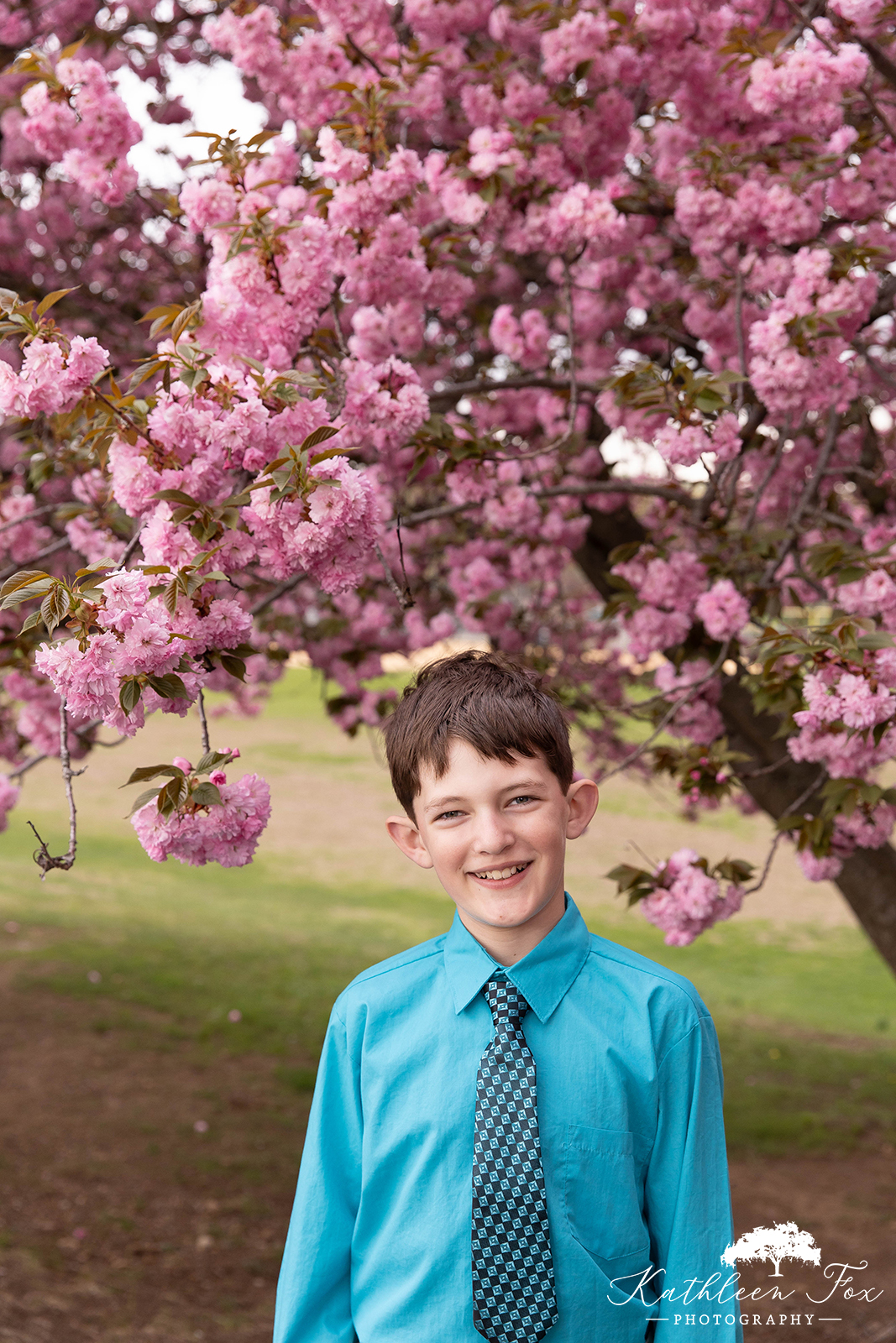 Cherry Blossoms family photos in Morris County NJ