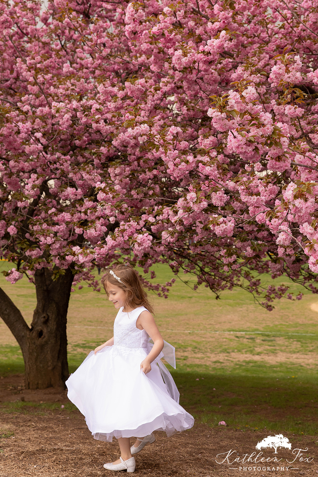 Cherry Blossoms family photos in Morris County NJ